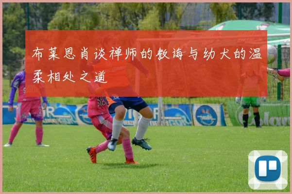 布莱恩肖谈禅师的教诲与幼犬的温柔相处之道